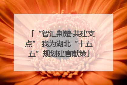 “智汇荆楚·共建支点” 我为湖北“十五五”规划建言献策