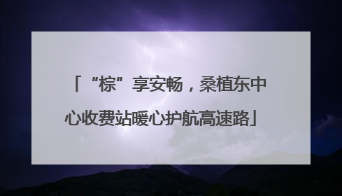 “棕”享安畅，桑植东中心收费站暖心护航高速路