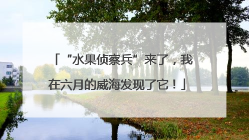 “水果侦察兵”来了，我在六月的威海发现了它！