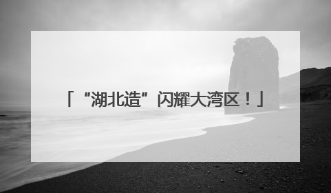 “湖北造”闪耀大湾区！