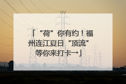 “荷”你有约！福州连江夏日“顶流”等你来打卡→