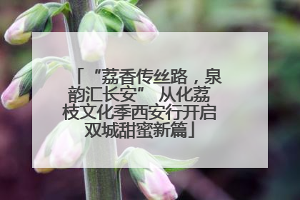“荔香传丝路，泉韵汇长安” 从化荔枝文化季西安行开启双城甜蜜新篇