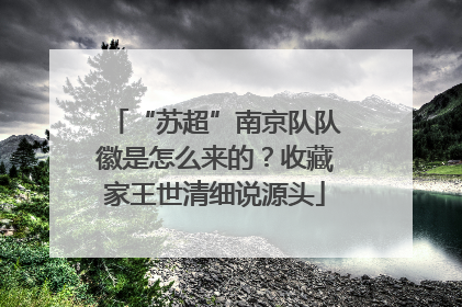 “苏超”南京队队徽是怎么来的？收藏家王世清细说源头