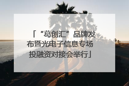 “葛创汇”品牌发布暨光电子信息专场投融资对接会举行