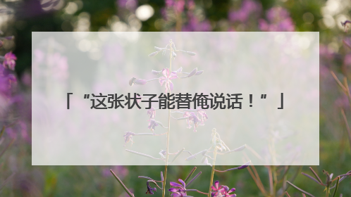 “这张状子能替俺说话！”