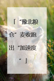 “豫北粮仓”麦收跑出“加速度”