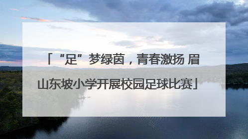 “足”梦绿茵，青春激扬 眉山东坡小学开展校园足球比赛