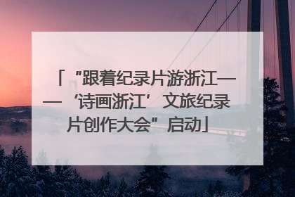 “跟着纪录片游浙江——‘诗画浙江’文旅纪录片创作大会”启动