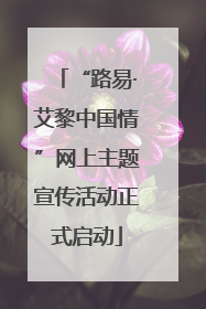“路易·艾黎中国情”网上主题宣传活动正式启动