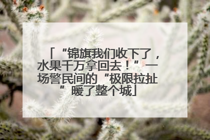“锦旗我们收下了，水果千万拿回去！”一场警民间的“极限拉扯”暖了整个城