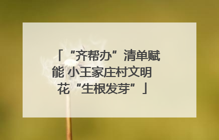 “齐帮办”清单赋能 小王家庄村文明花“生根发芽”