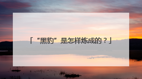 “黑豹”是怎样炼成的？