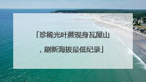 珍稀光叶蕨现身瓦屋山，刷新海拔最低纪录