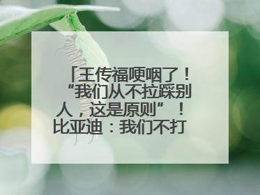 王传福哽咽了！“我们从不拉踩别人，这是原则”！比亚迪：我们不打价格战