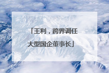 王利，跨界调任大型国企董事长