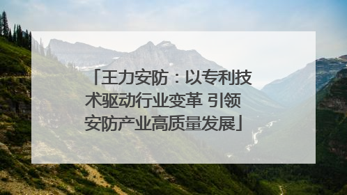 王力安防：以专利技术驱动行业变革 引领安防产业高质量发展