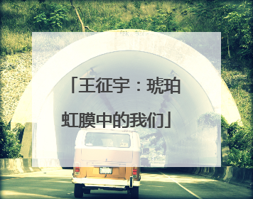 王征宇：琥珀虹膜中的我们