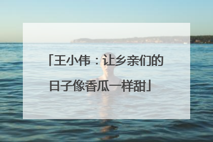 王小伟：让乡亲们的日子像香瓜一样甜