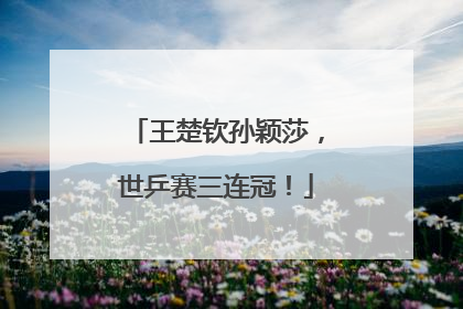 王楚钦孙颖莎，世乒赛三连冠！