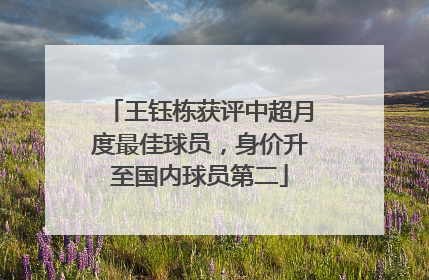 王钰栋获评中超月度最佳球员，身价升至国内球员第二