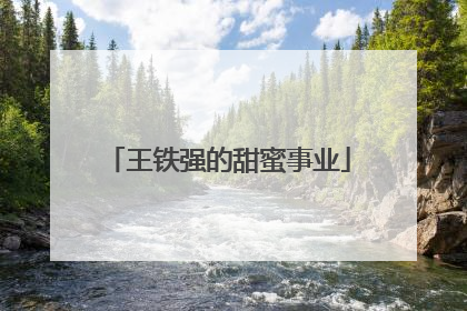 王铁强的甜蜜事业
