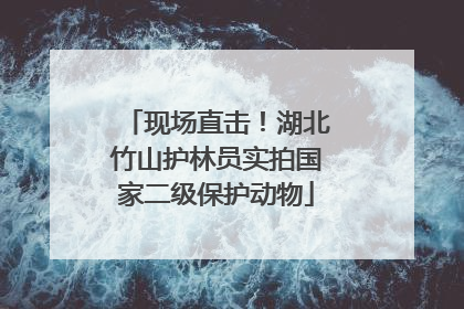 现场直击！湖北竹山护林员实拍国家二级保护动物
