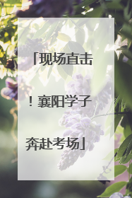 现场直击！襄阳学子奔赴考场