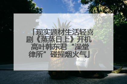 现实题材生活轻喜剧《蒸蒸日上》开机 高叶韩东君“澡堂律所”碰撞烟火气