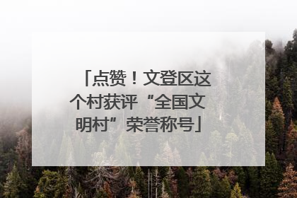 点赞！文登区这个村获评“全国文明村”荣誉称号
