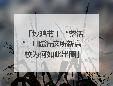 炒鸡节上“整活”！临沂这所新高校为何如此出圈