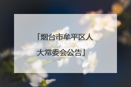 烟台市牟平区人大常委会公告