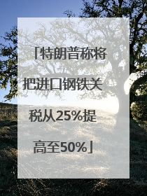 特朗普称将把进口钢铁关税从25%提高至50%