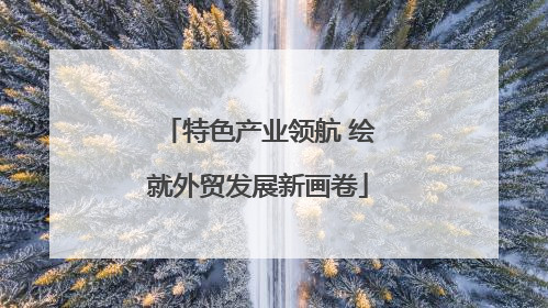 特色产业领航 绘就外贸发展新画卷