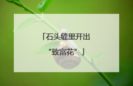 石头缝里开出“致富花”