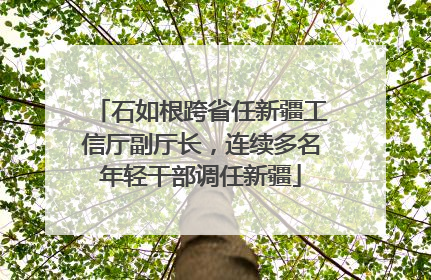 石如根跨省任新疆工信厅副厅长，连续多名年轻干部调任新疆