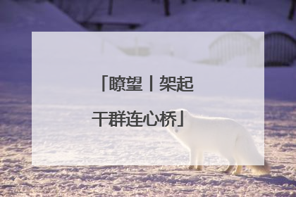 瞭望丨架起干群连心桥