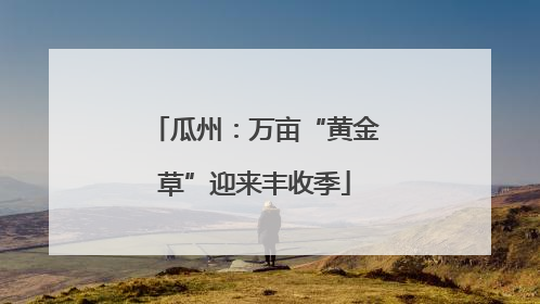 瓜州：万亩“黄金草”迎来丰收季