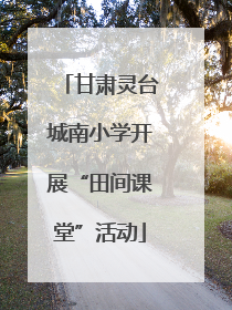 甘肃灵台城南小学开展“田间课堂”活动