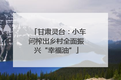甘肃灵台：小车间榨出乡村全面振兴“幸福油”