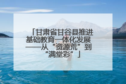 甘肃省甘谷县推进基础教育一体化发展——从“资源荒”到“满堂彩”