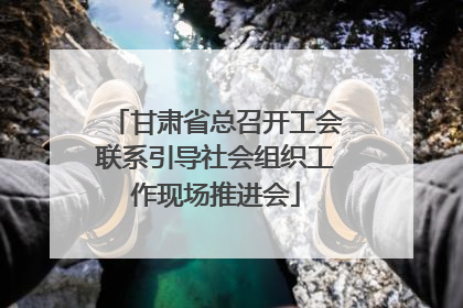 甘肃省总召开工会联系引导社会组织工作现场推进会