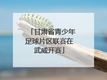甘肃省青少年足球片区联赛在武威开赛
