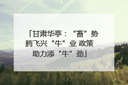 甘肃华亭：“畜”势腾飞兴“牛”业 政策助力添“牛”劲