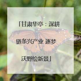 甘肃华亭：深耕链条兴产业 逐梦沃野绘新景