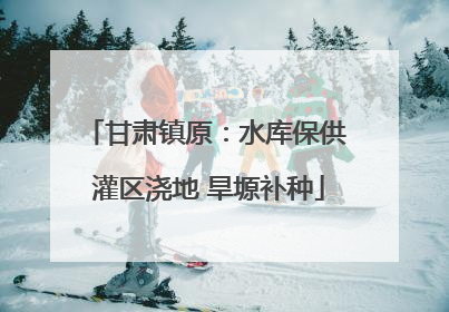 甘肃镇原：水库保供 灌区浇地 旱塬补种