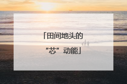 田间地头的“芯”动能