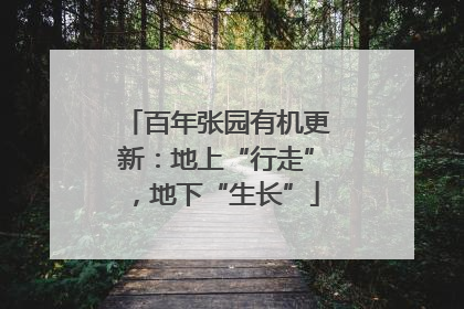 百年张园有机更新：地上“行走”，地下“生长”