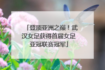 登顶亚洲之巅！武汉女足获得首届女足亚冠联赛冠军