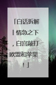 白话拆解丨情急之下，白宫敲打欧盟和苹果！