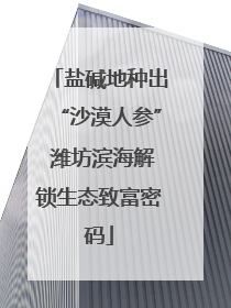 盐碱地种出“沙漠人参” 潍坊滨海解锁生态致富密码